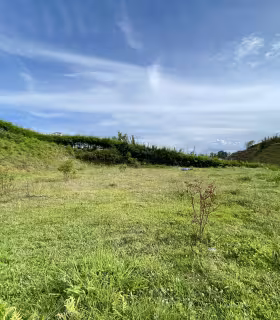 Lote_San_Vicente_de_Ferrer