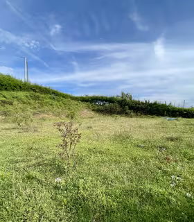 Lote_San_Vicente_de_Ferrer