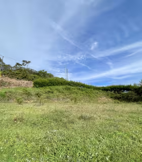 Lote_San_Vicente_de_Ferrer