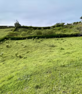 Lote_San_Vicente_de_Ferrer