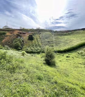 Lote_San_Vicente_de_Ferrer