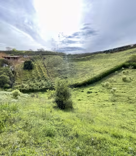 Lote_San_Vicente_de_Ferrer