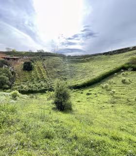 Lote_San_Vicente_de_Ferrer