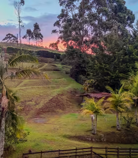Vista aérea del lote campestre en El Carmen de Viboral, con palmeras, árboles altos y terreno aterrazado.