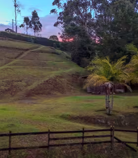 Terreno escalonado en El Carmen de Viboral, con amplias zonas verdes, palmeras y cerca de madera.