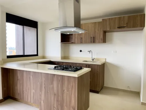 Cocina extractor y alacena